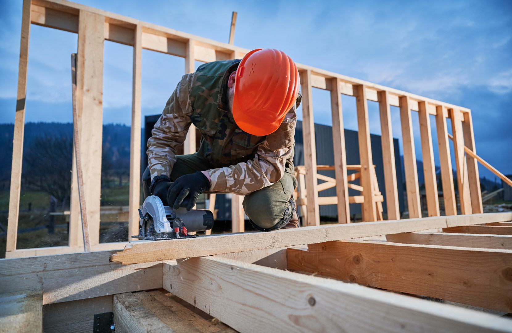 Carcassing & Joists